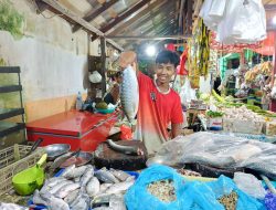 Harga Ikan Naik, Pedagang Mahakam Ulu Minta Perhatian Pemerintah