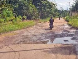 Pemprov Kaltim Pacu Pembangunan Jalan Tering-Ujoh Bilang, Anggaran Rp280 Miliar Digelontorkan